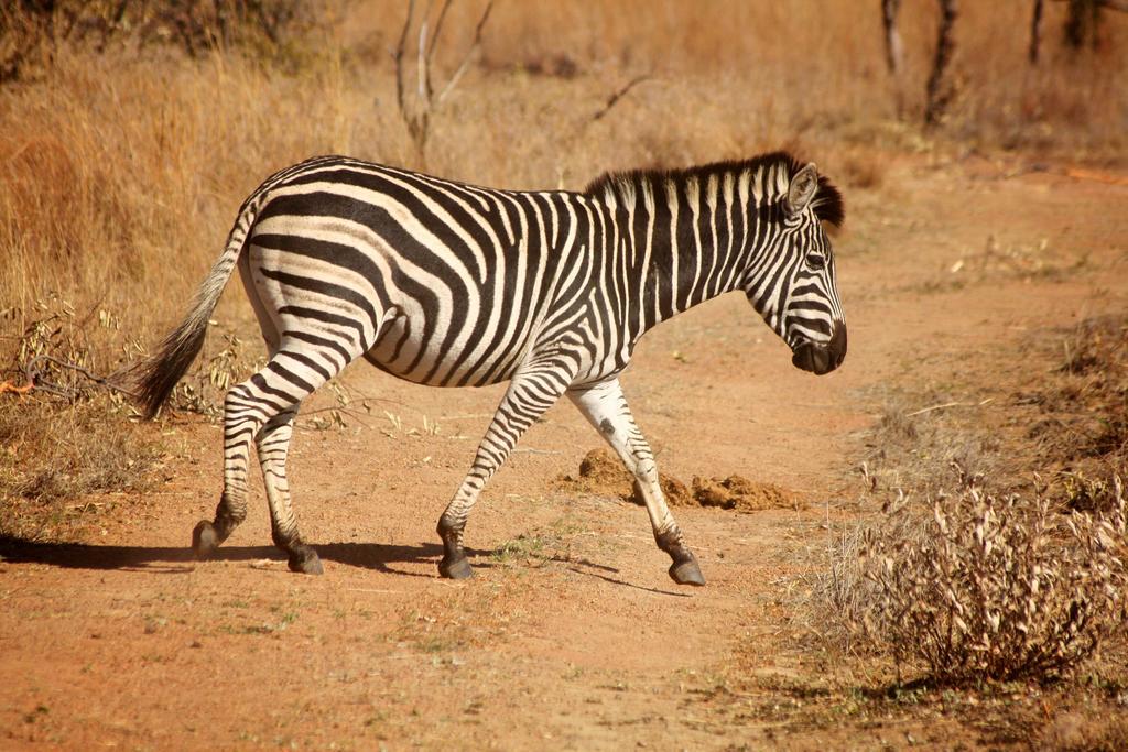 Ouklip Game Lodge Klipdrift المظهر الخارجي الصورة