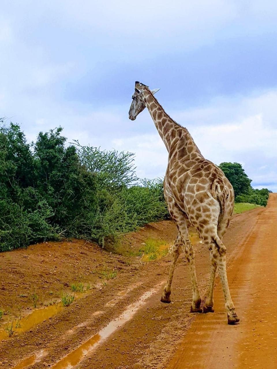 Ouklip Game Lodge Klipdrift المظهر الخارجي الصورة